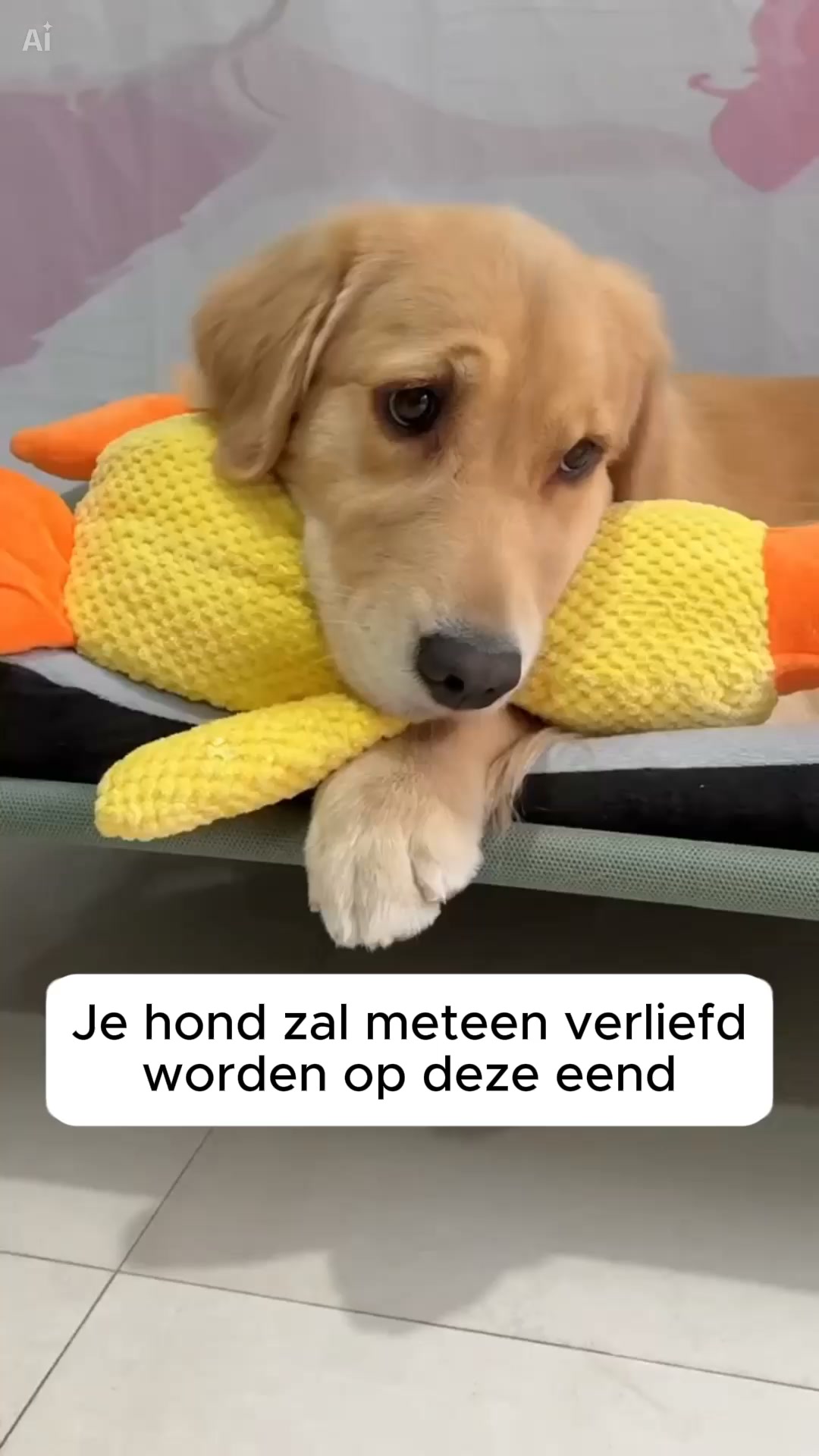 30 dagen garantie