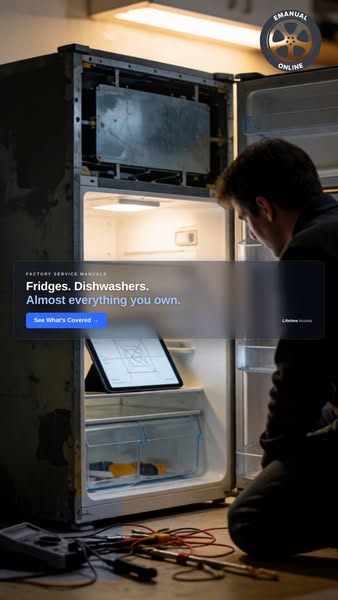 Almost Everything You Own