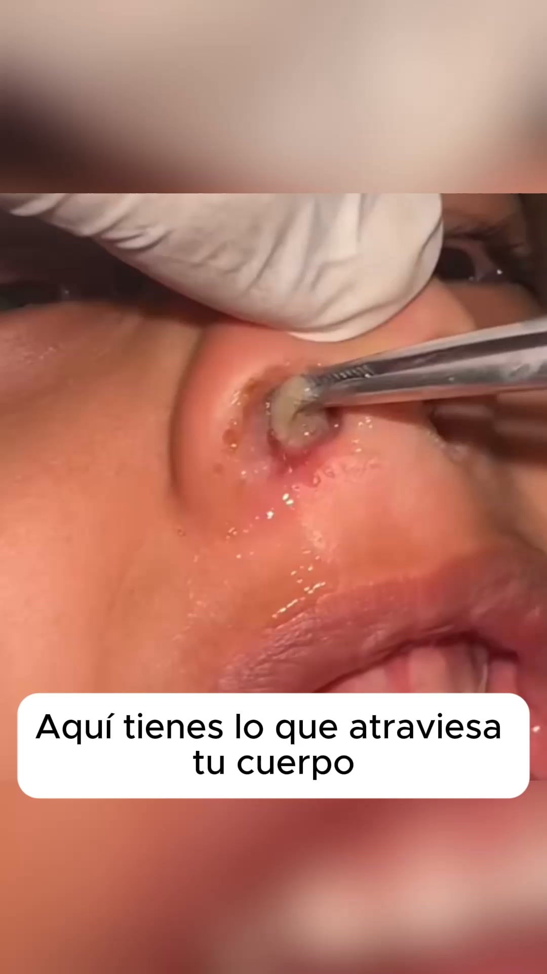 Ahorra hasta un 52% en Selvia Hoy