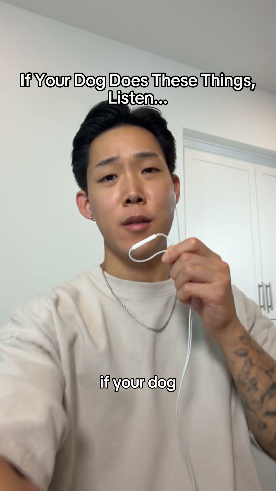 My dog stopped itching, the natural way