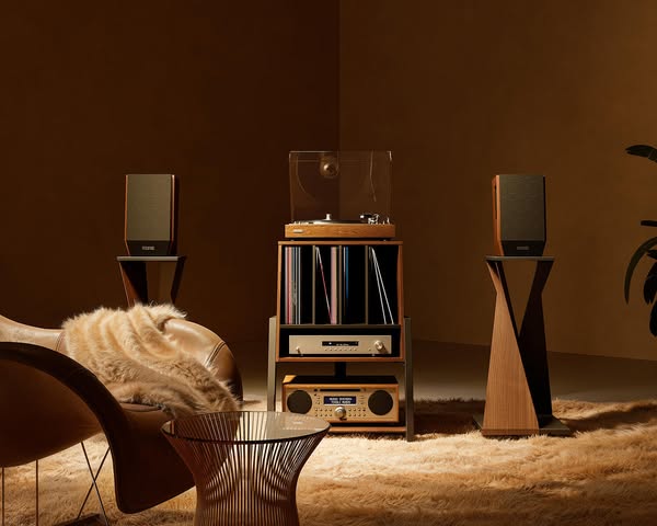 Not Just a Stand—A Tribute to Vinyl