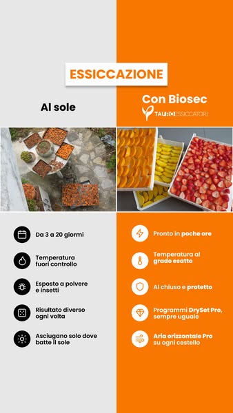 Essicca tutto l’anno con Tauro