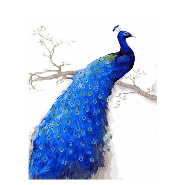 Blauwe Pauw