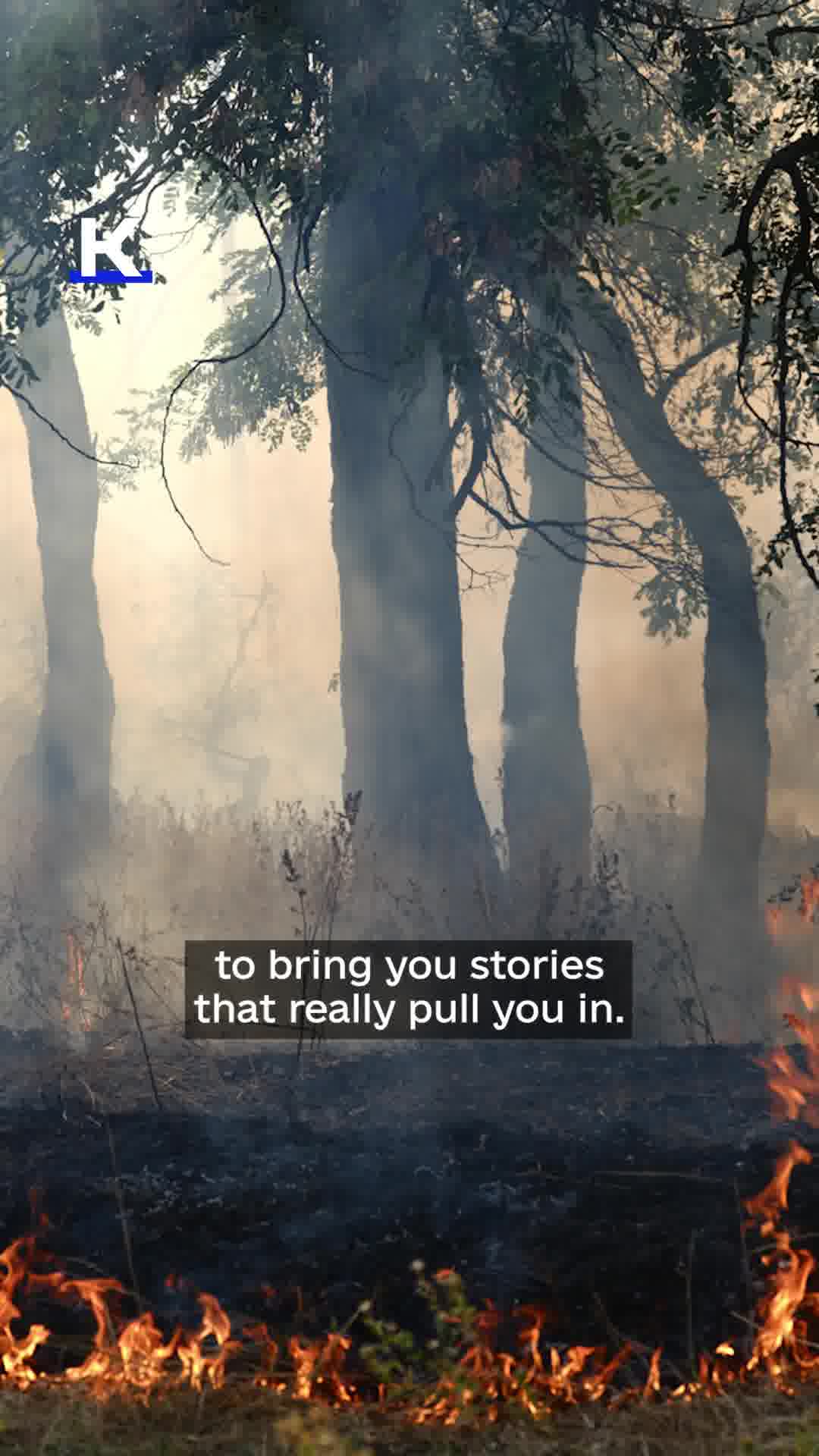 Ukrainian Stories of Bravery and Hope – Discover the Kyiv Independent’s Print Magazine