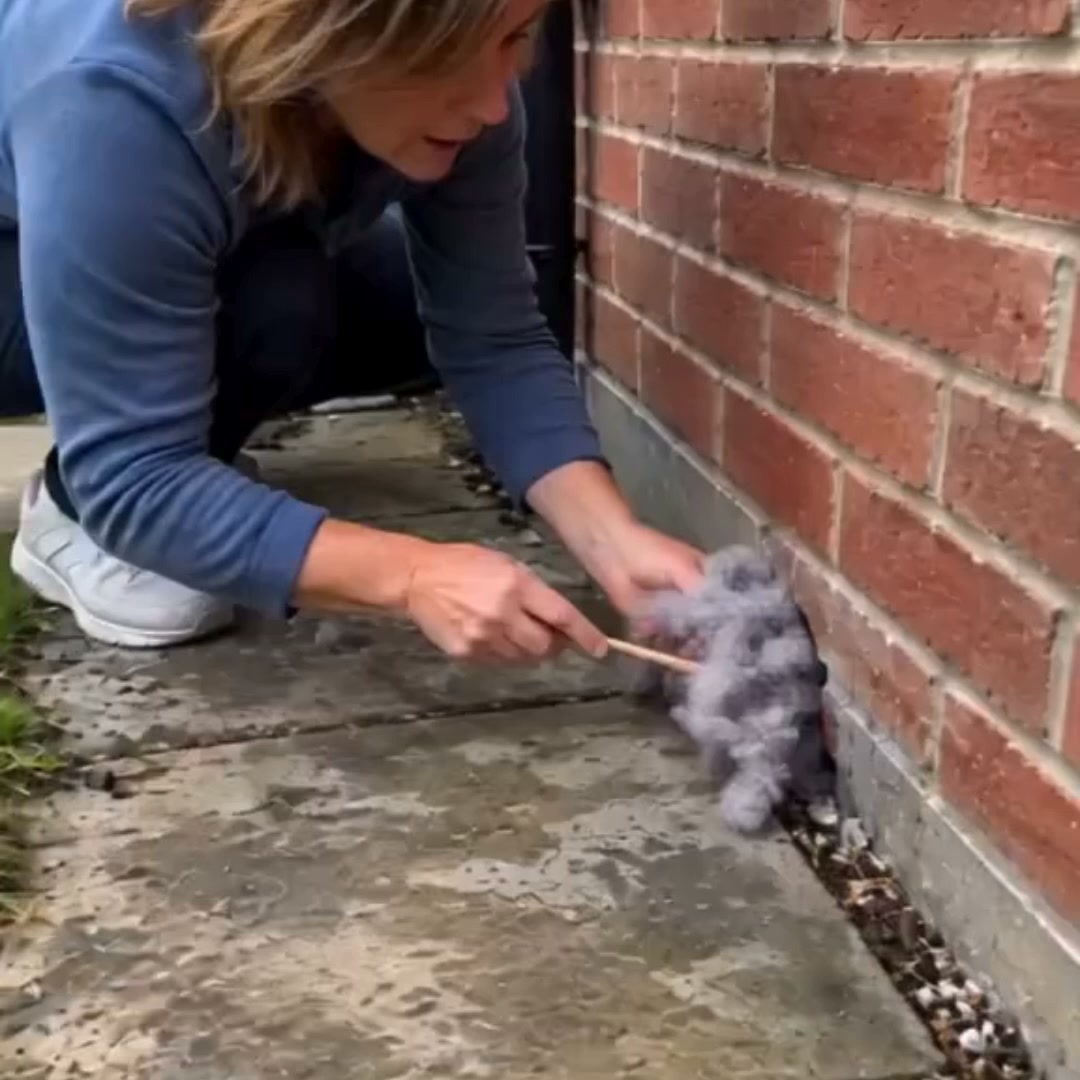 Don't Let Pests Move In This Winter