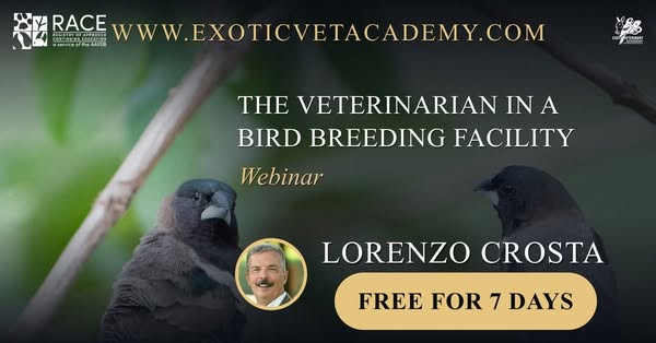What a veterinarian can do for a bird breeding facility