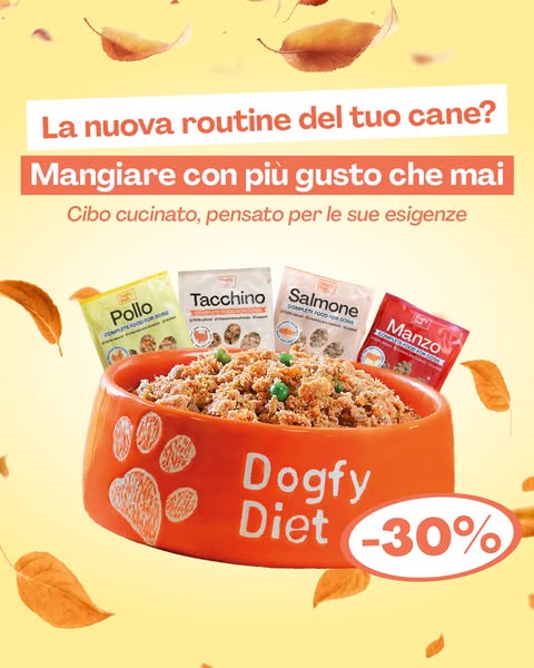 Tornare alla Routine