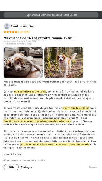 2500 maîtres ont arrêté de regarder leur chien s’affaiblir sans rien pouvoir faire.