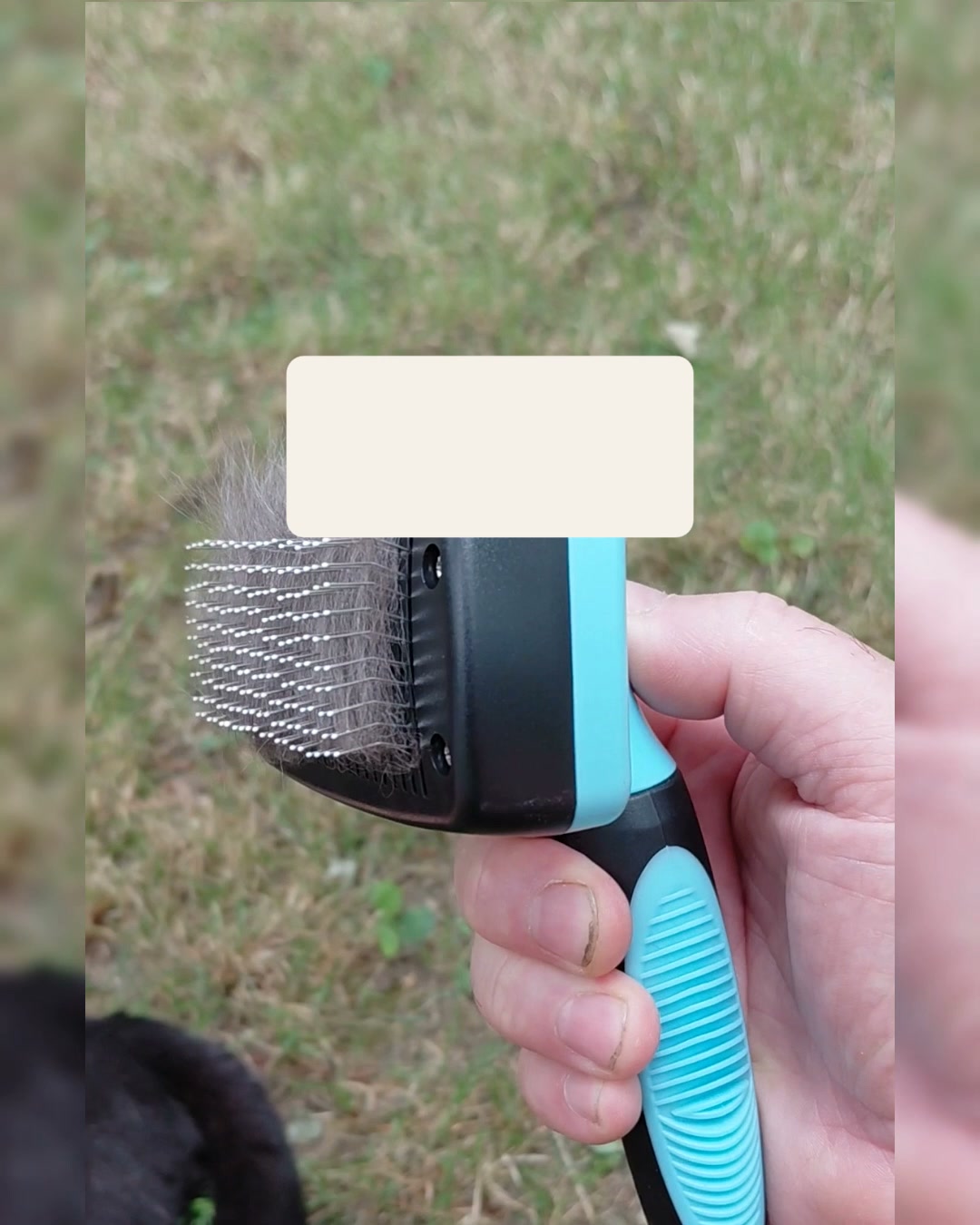 Brosse Autonettoyante — La Brosse qui se Vide Toute Seule