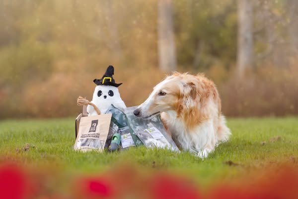 Nu beschikbaar: Themabox Herfst