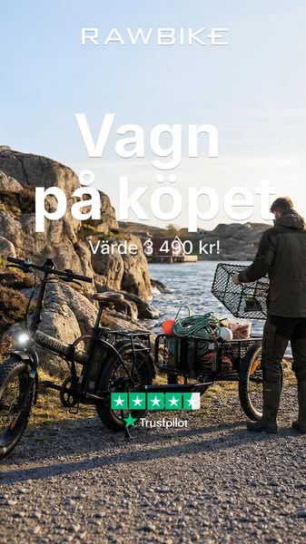 Cargo Trailer värd 3 490 kr