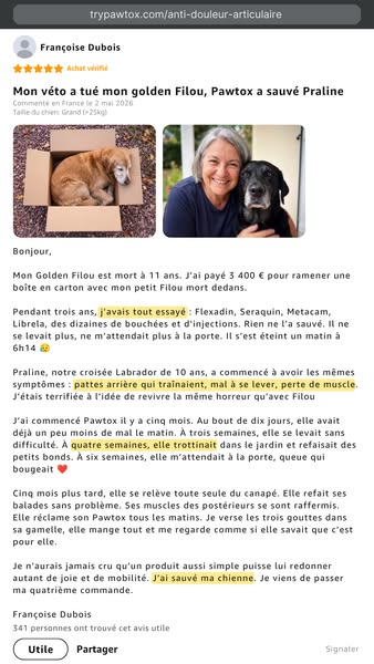 2500 maîtres ont arrêté de regarder leur chien s’affaiblir sans rien pouvoir faire.