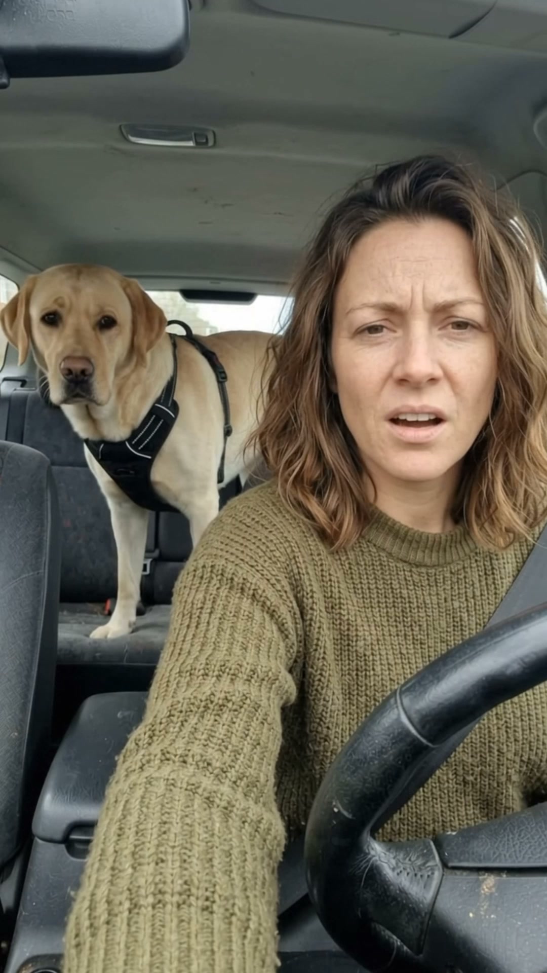 Same Car. More Dog Space.