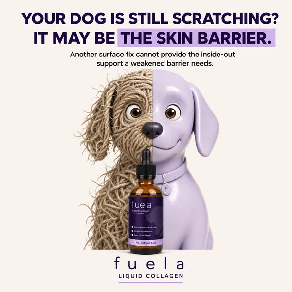 Fuela Premium Liquid Collagen