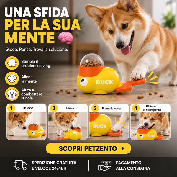 Quanto è intelligente il tuo cane?