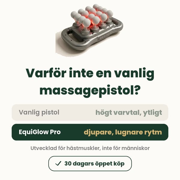 Varför inte en vanlig massagepistol?