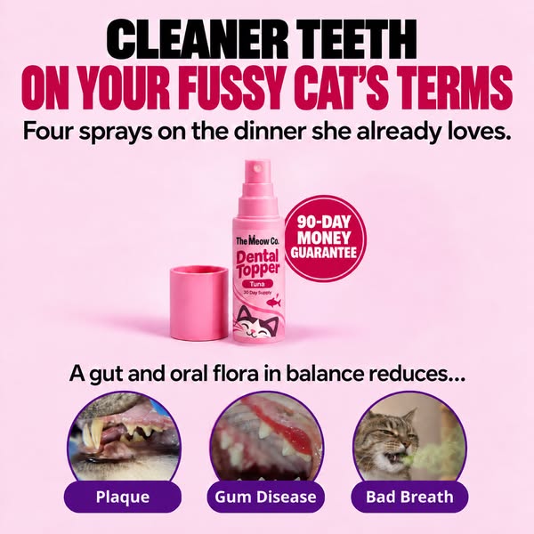 Cleaner teeth on your fussy cat's terms.