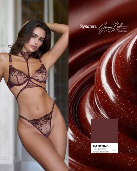 NEW "SIGNATURES" collection