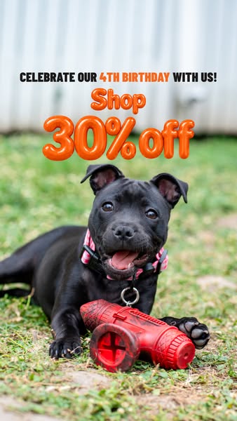 Your dog's still shopping