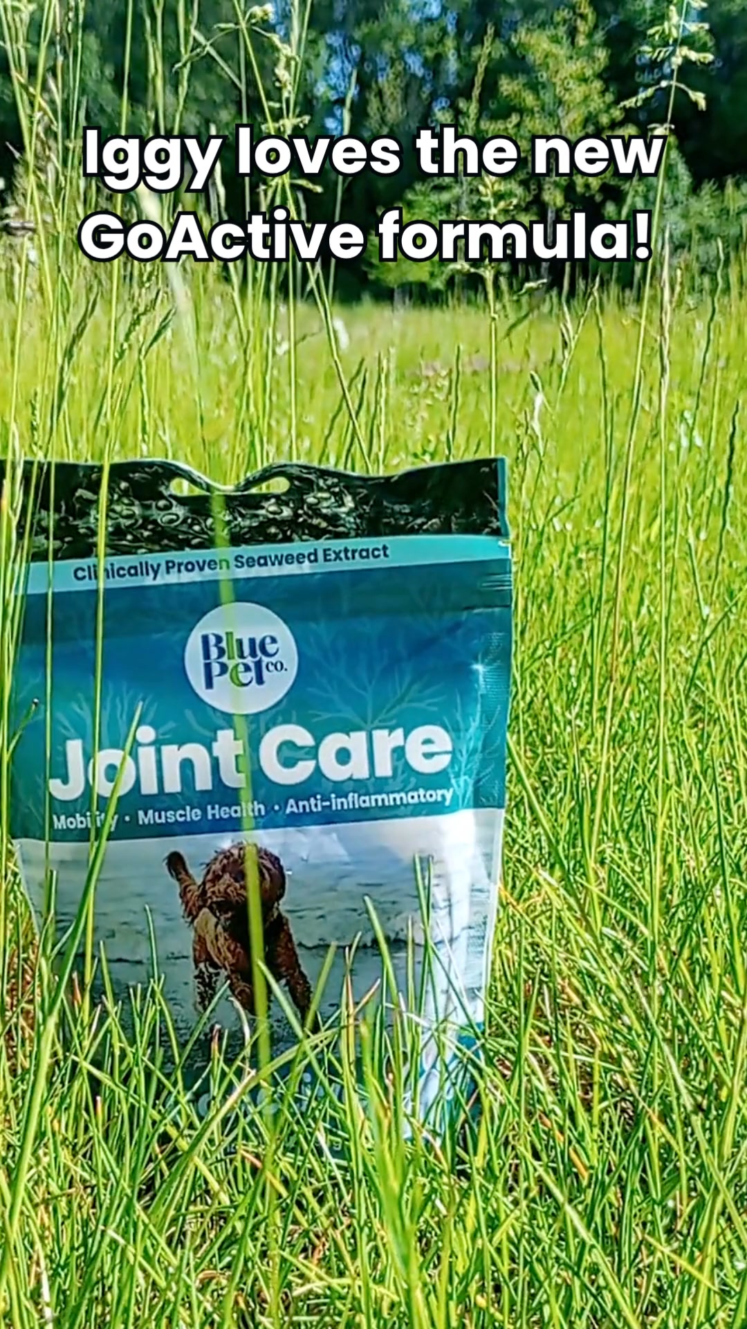 Natural Joint Support For Dogs