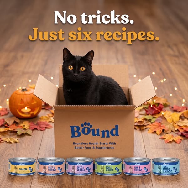 Only £7.99 for 12 Tins!