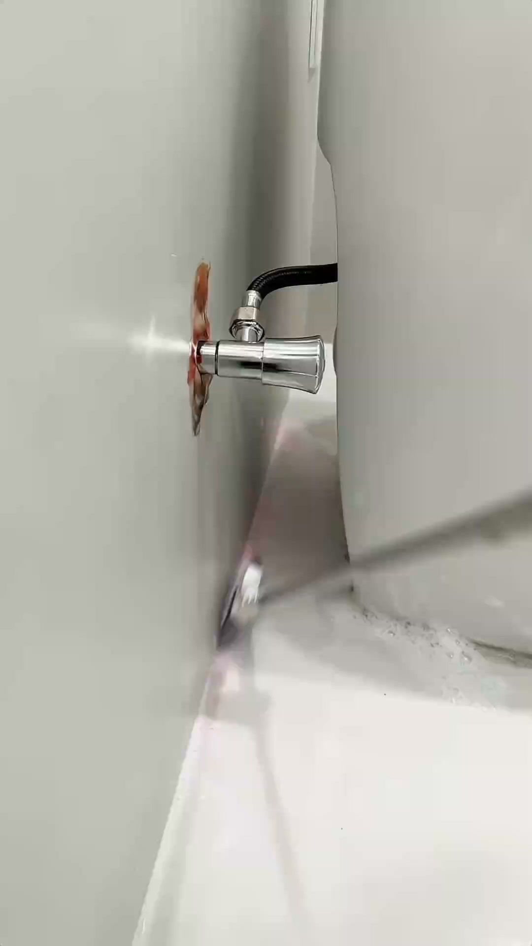 Extendable Crevice Cleaning Brush