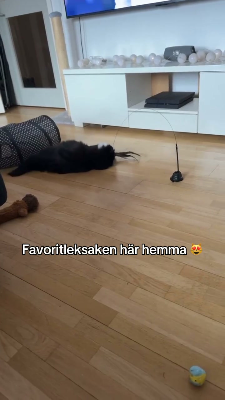 Jaktbågen - 30% REA