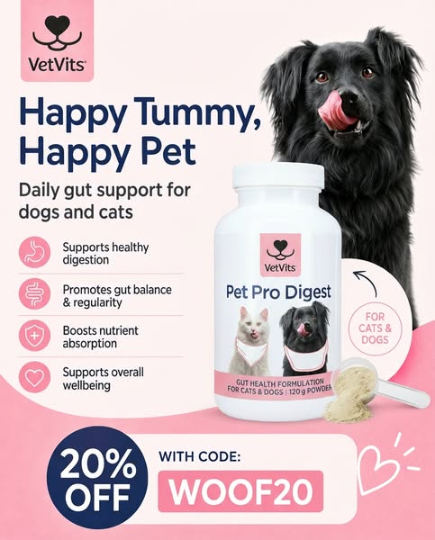 Calm Your Anxious Dog Naturally | MagiCalm®