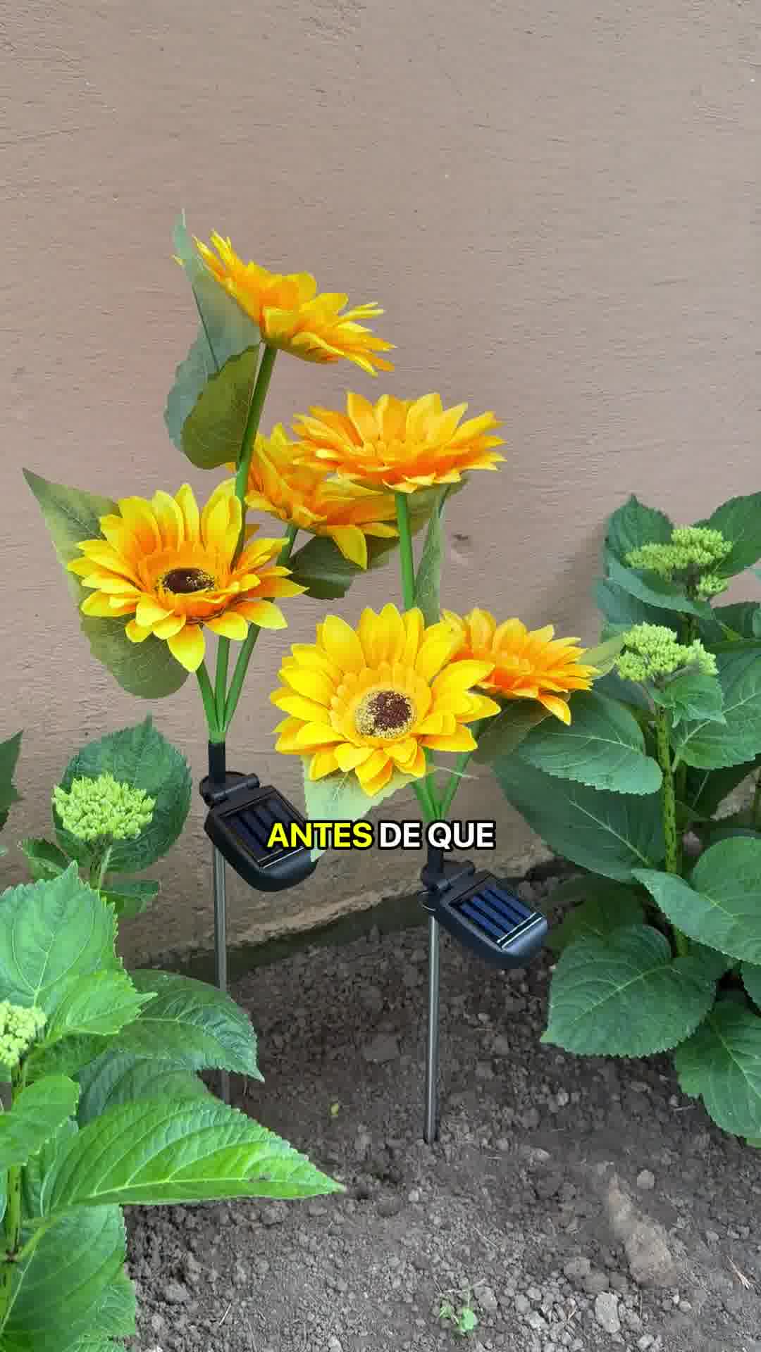 ¡Quedan pocas luces!