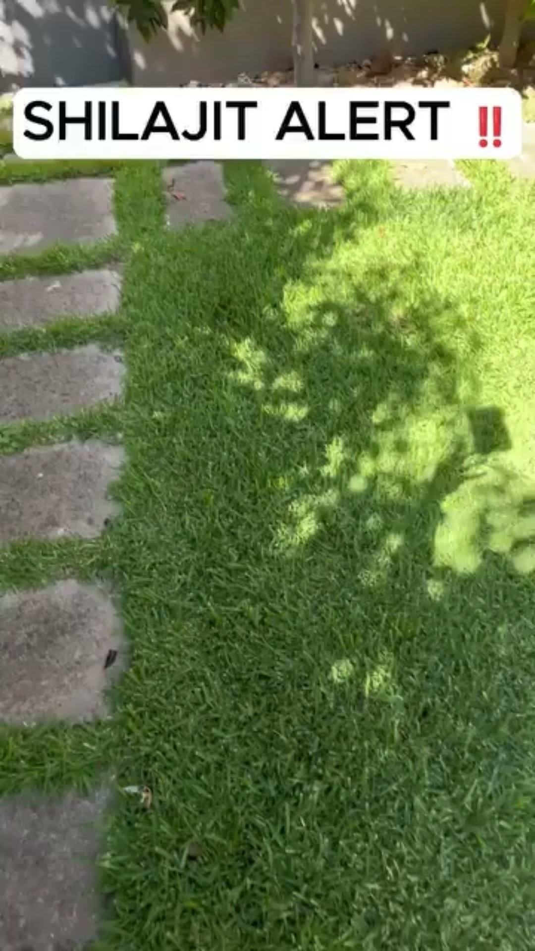 Energia Naturale Ogni Giorno