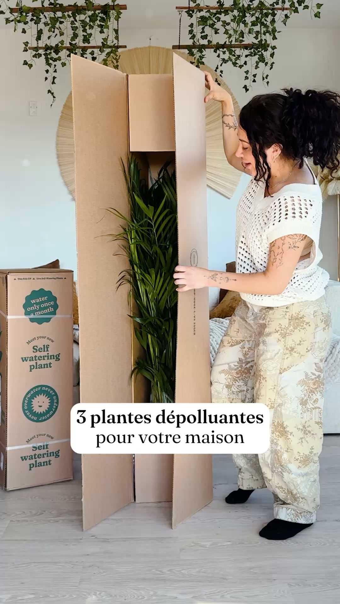 Des plantes qui s'arrosent toutes seules
