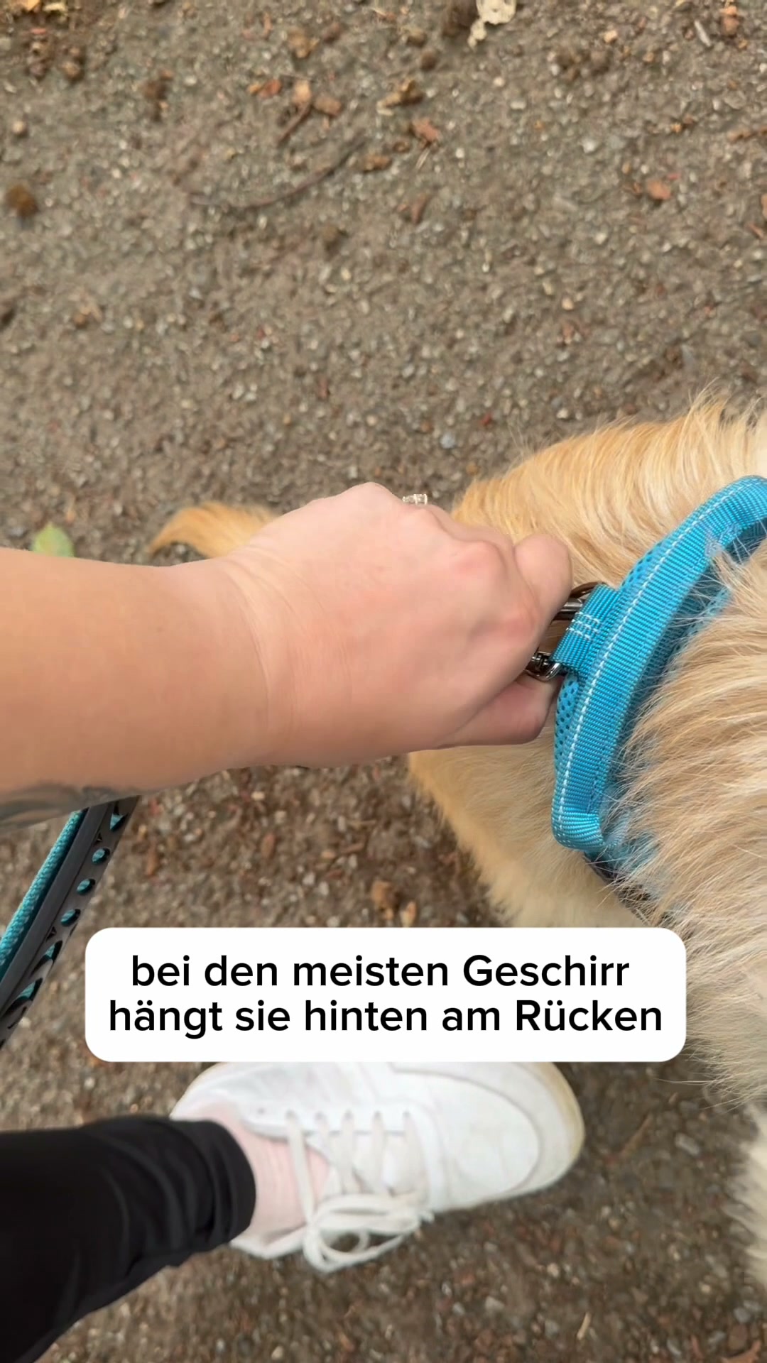 30% sichern + gratis Versand!