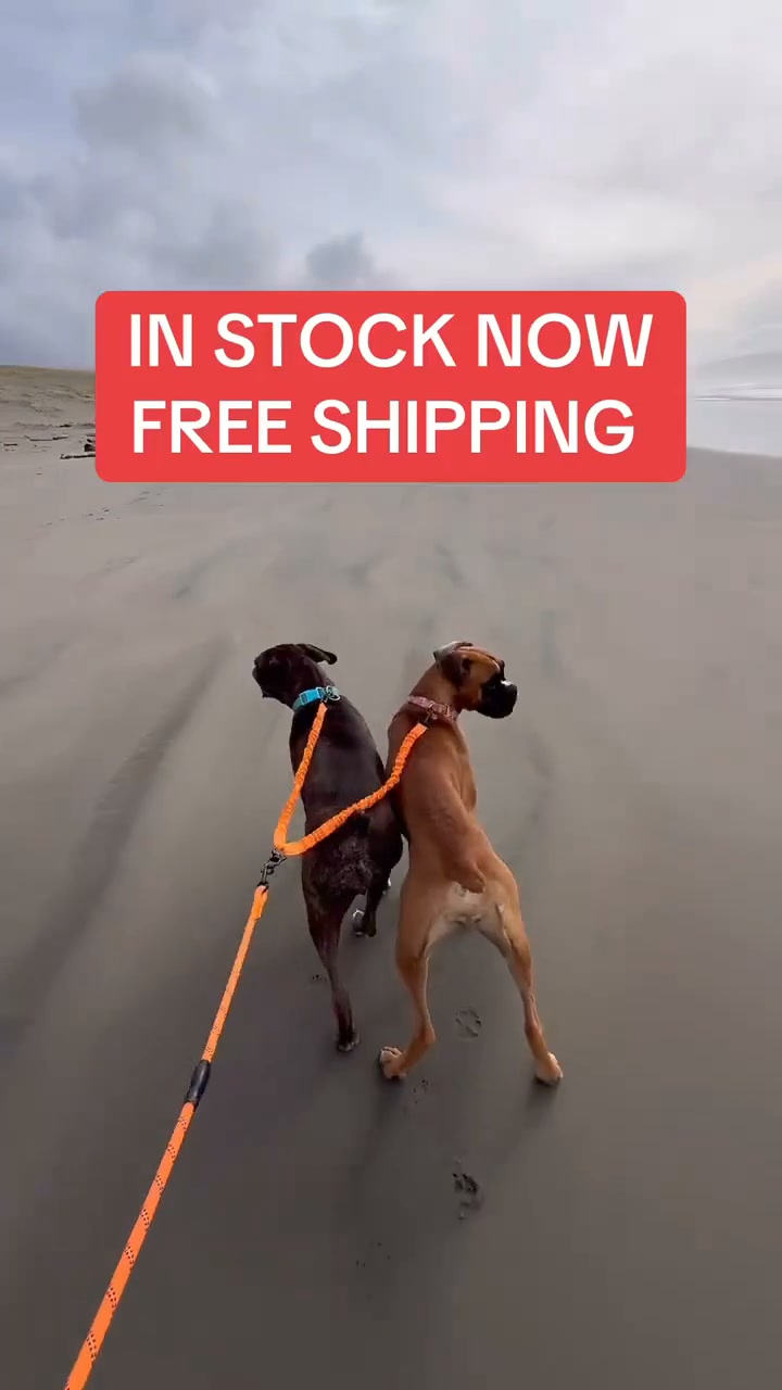 They Cross. The Leash Doesn’t.