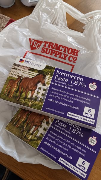 Why Ivermectin Worked… Then Everything Came Back