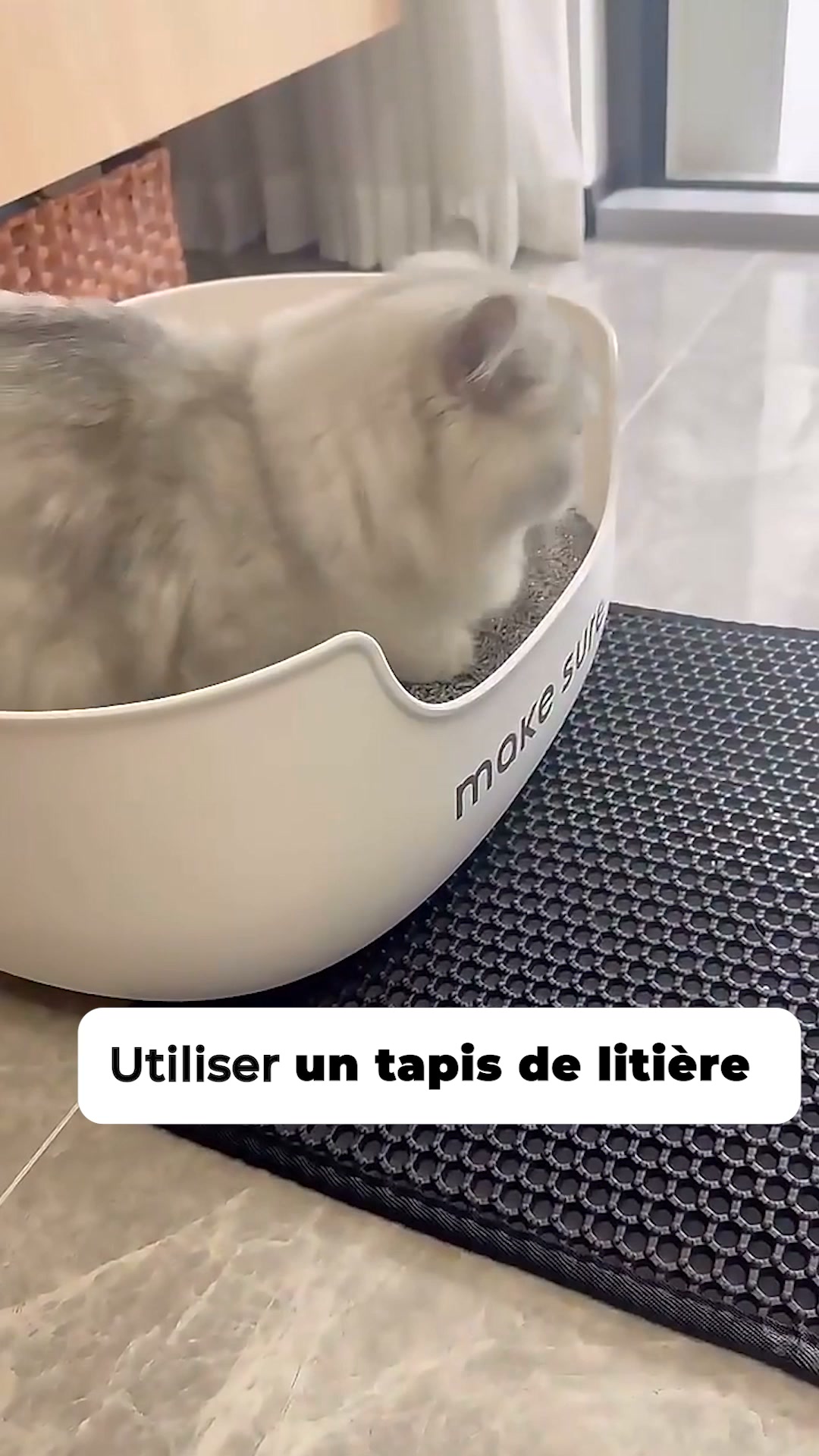 Conçu pour les chats, pensé pour vous