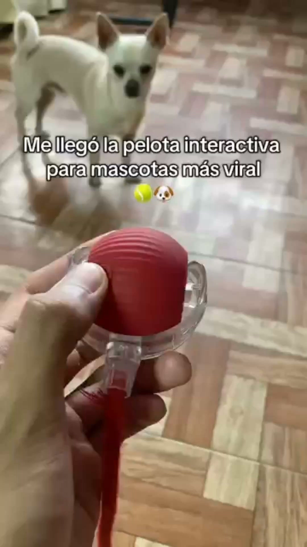 Pago Contra Reembolso