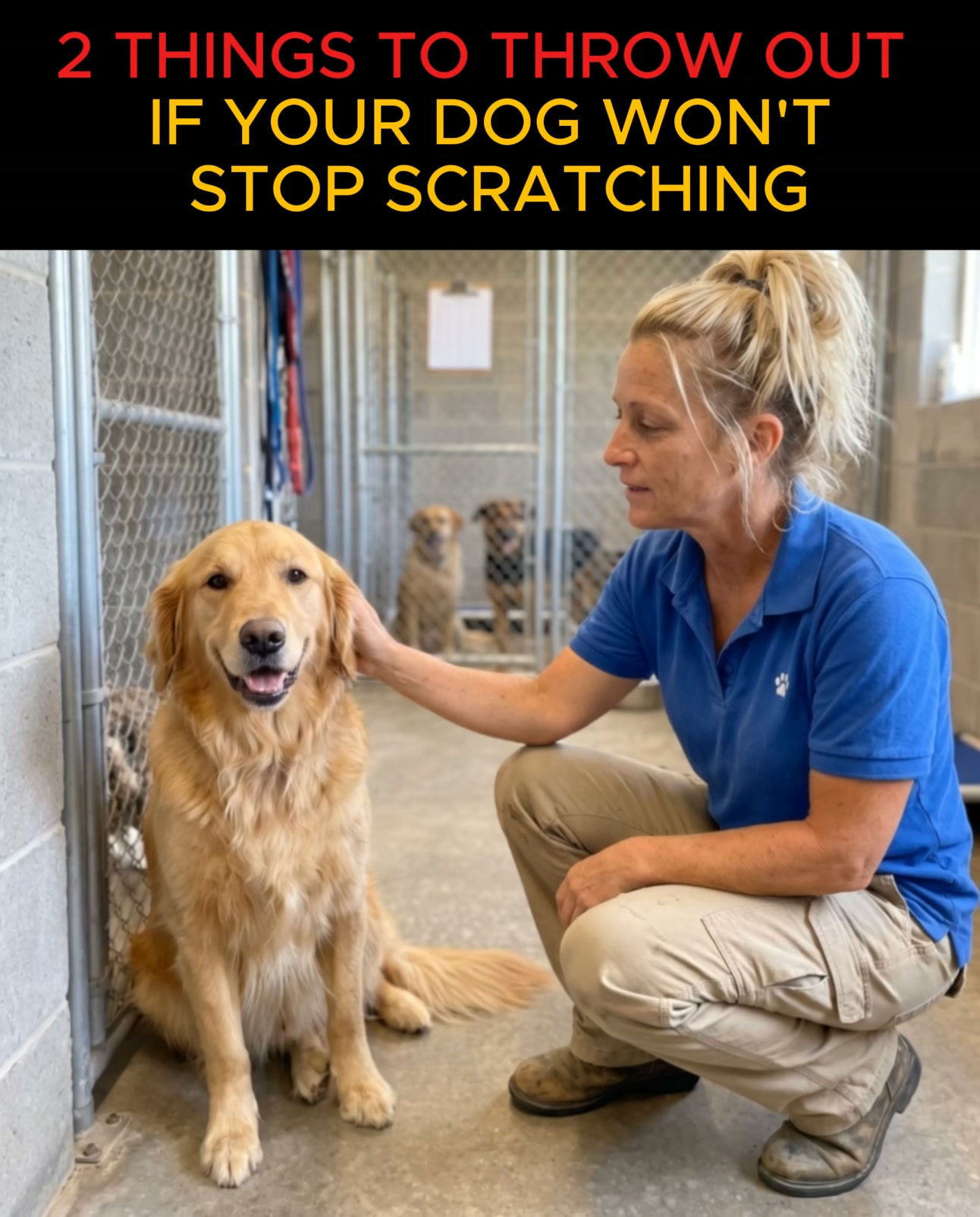 Itchy Dog? Throw Out the Medicated Shampoo.