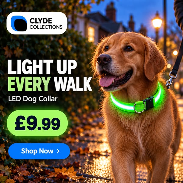 Light Up Their Walks