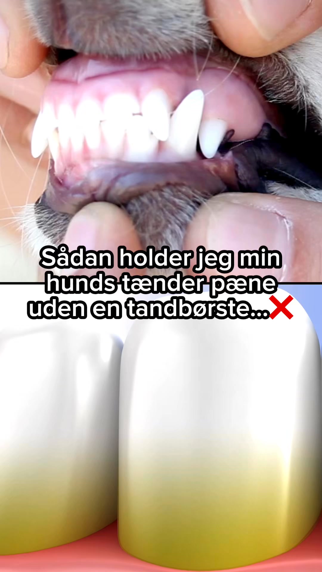 Tandpleje uden tandbørste?