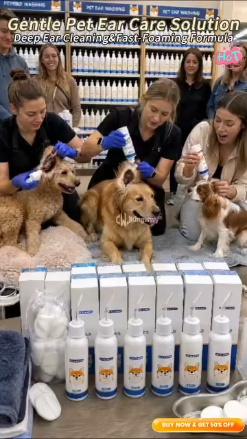 Premium Pet Essentials, Delivered