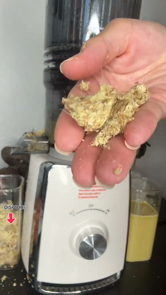 49,99 € pour votre jus frais maison chaque matin – fini la centrifugeuse bruyante et le gaspillage