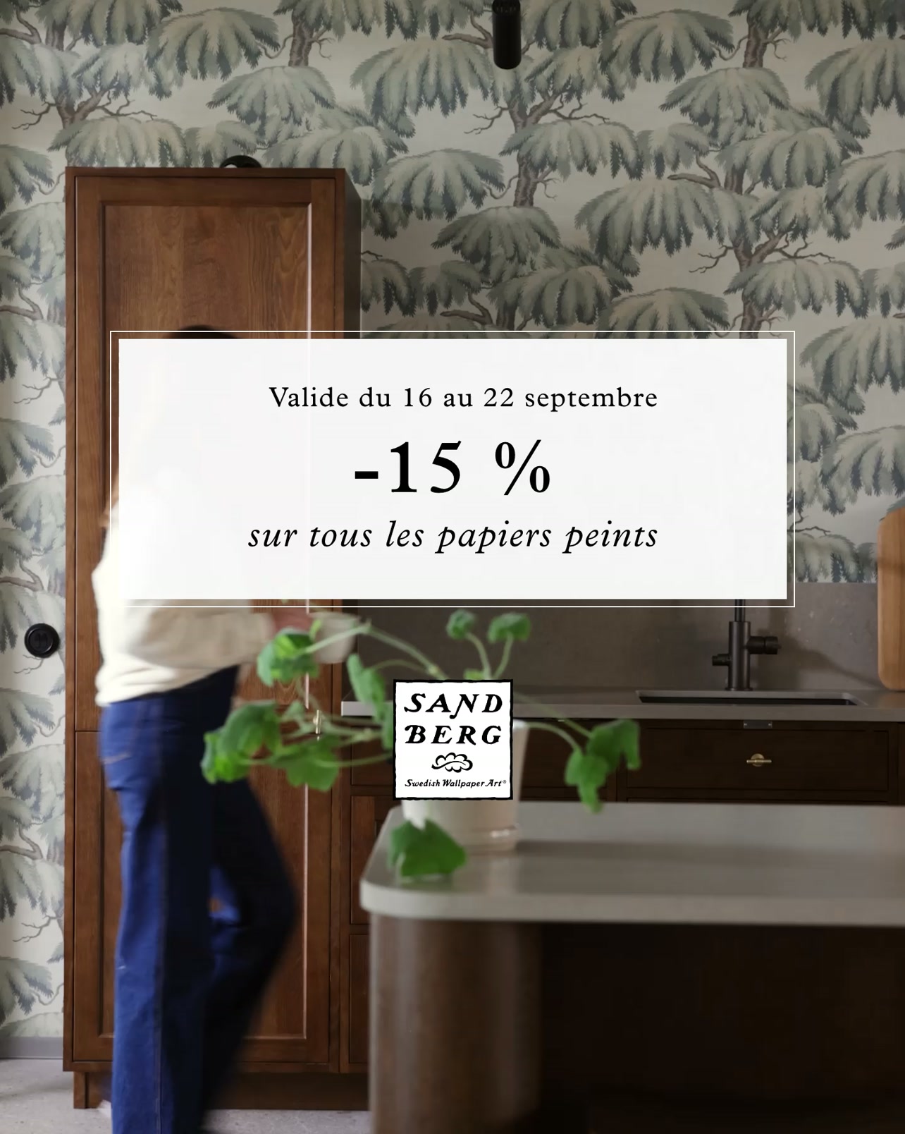 15 % de réduction sur tous nos papiers peints