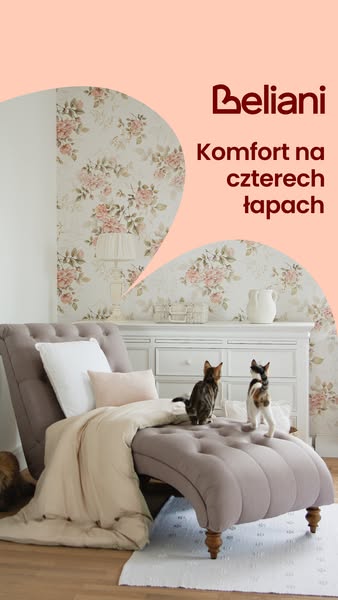 Design, który pokochają Twoje zwierzaki