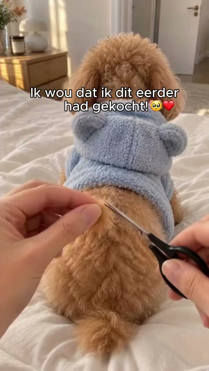 Een stukje van je hond, altijd dichtbij