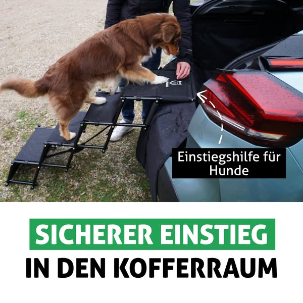 Auto Hundetreppe mit Sicherheitsstufe