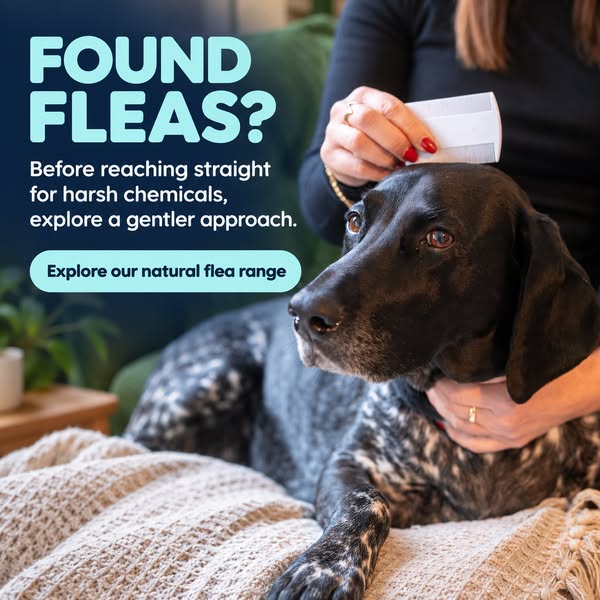 Natural Flea Range for Dogs