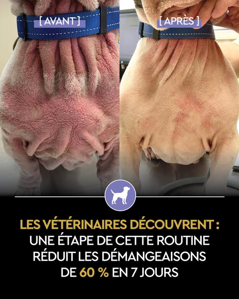 « Notre routine incontournable ! » — Shannon C.