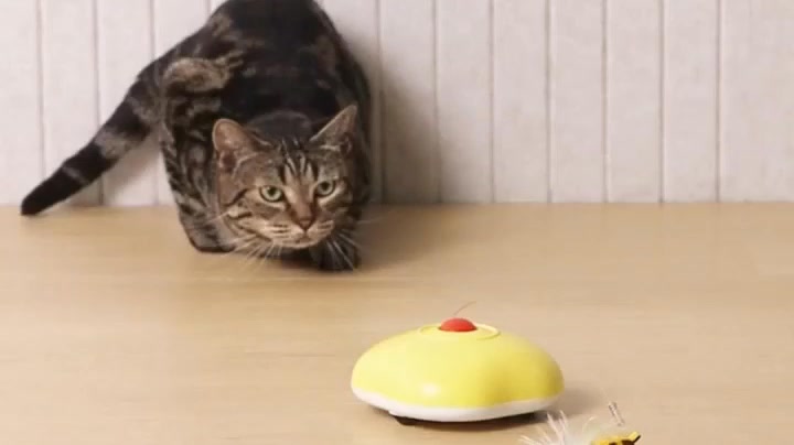 The Buzzing Bee Toy That Works