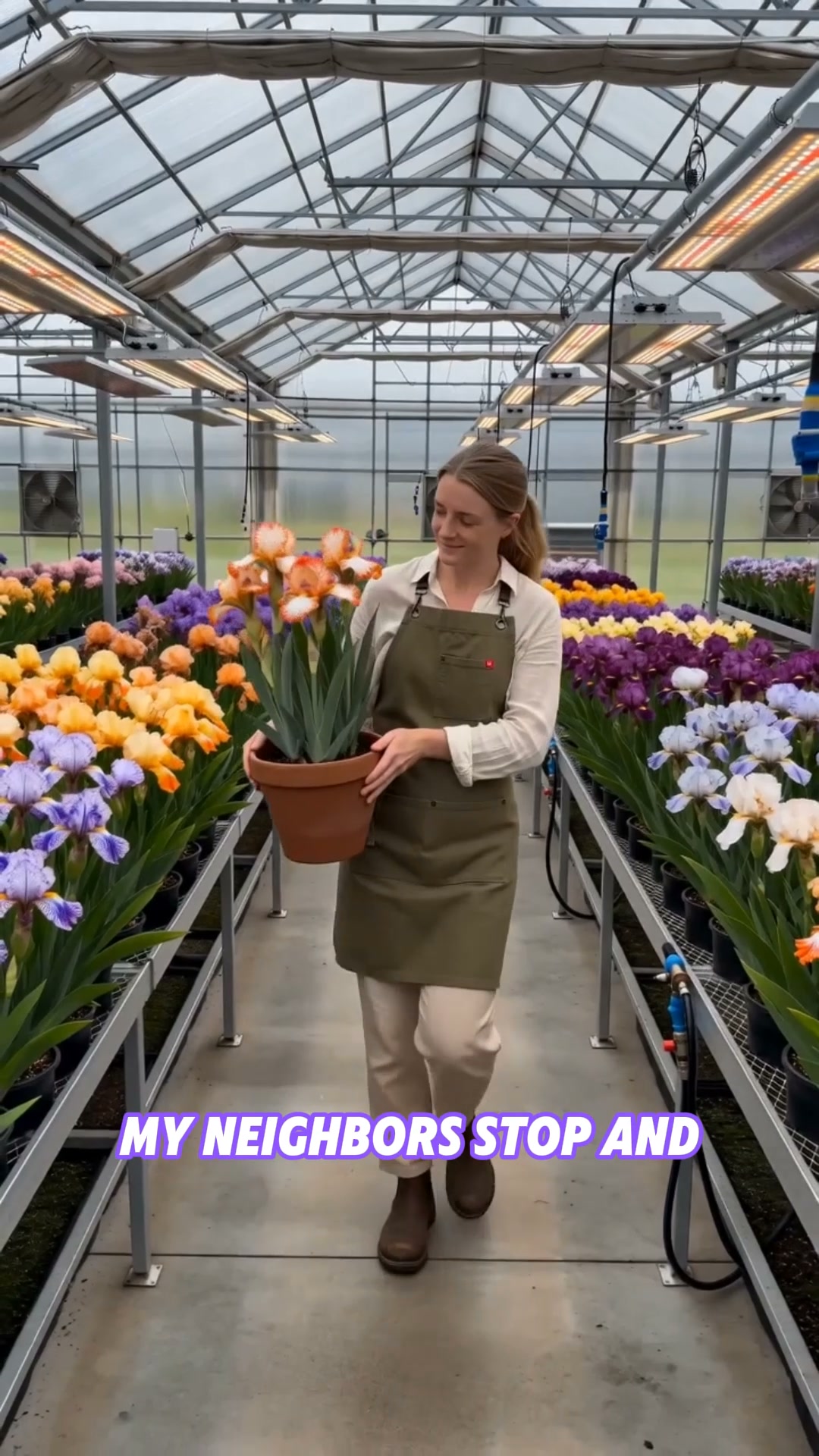 Easy to grow, cold-hardy, and drought-tolerant—perfect for any garden.