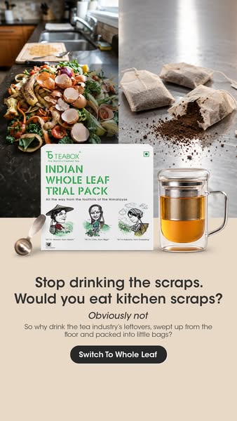 FLAT 50% OFF + 2 Free Gifts